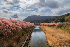 明るくはなって来た(^-^;