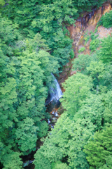 不動沢橋より 谷底の滝