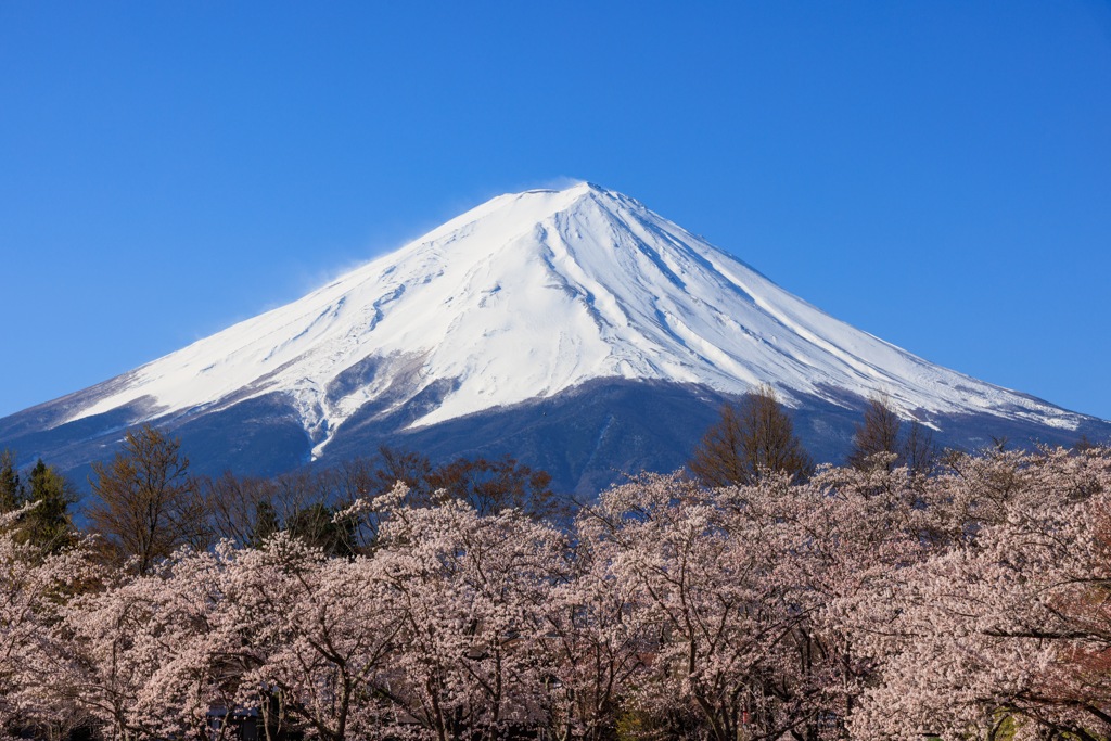フォトコンに入賞しましたヽ(^o^)丿