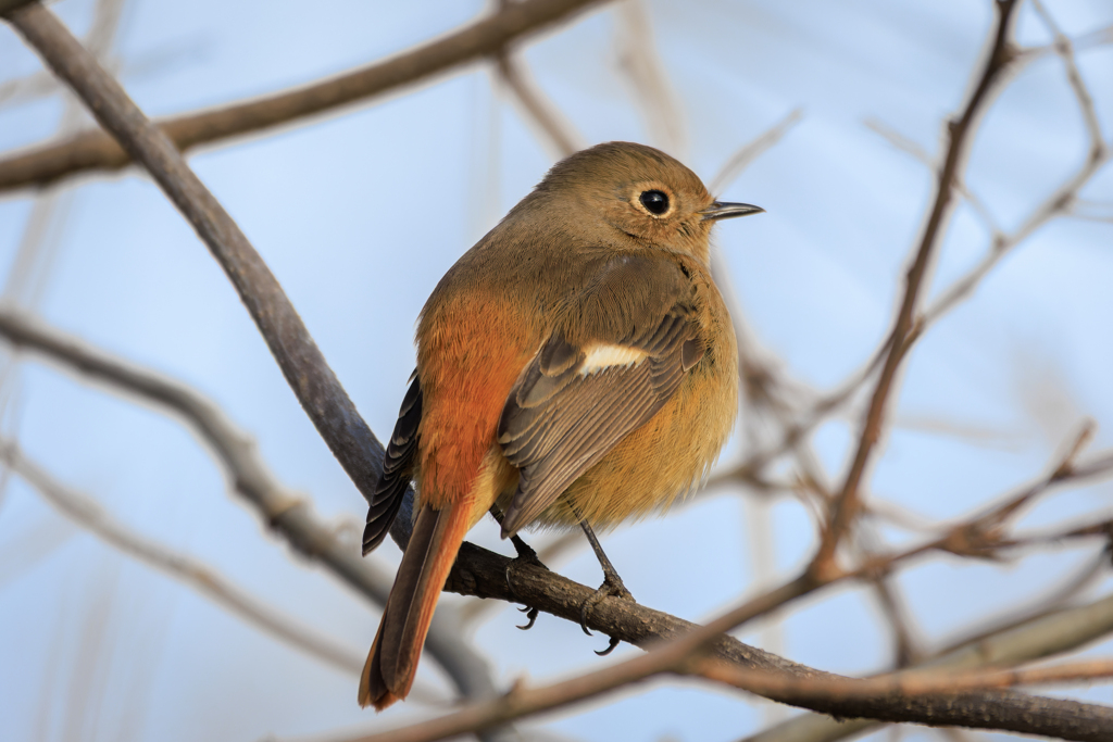 カカカっと＾＾
