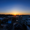 新レンズ DE 試し撮り その３