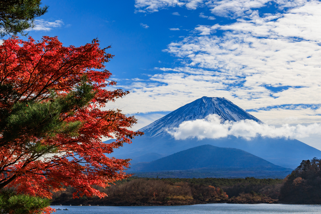 年末恒例！ボツ写真供養 その7