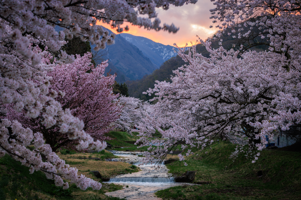 2025ボツ供養 その2(春）