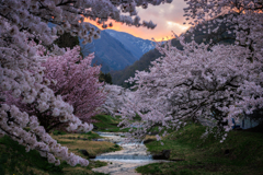 2025ボツ供養 その2(春）