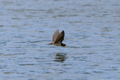 絶叫しながら？(^-^;