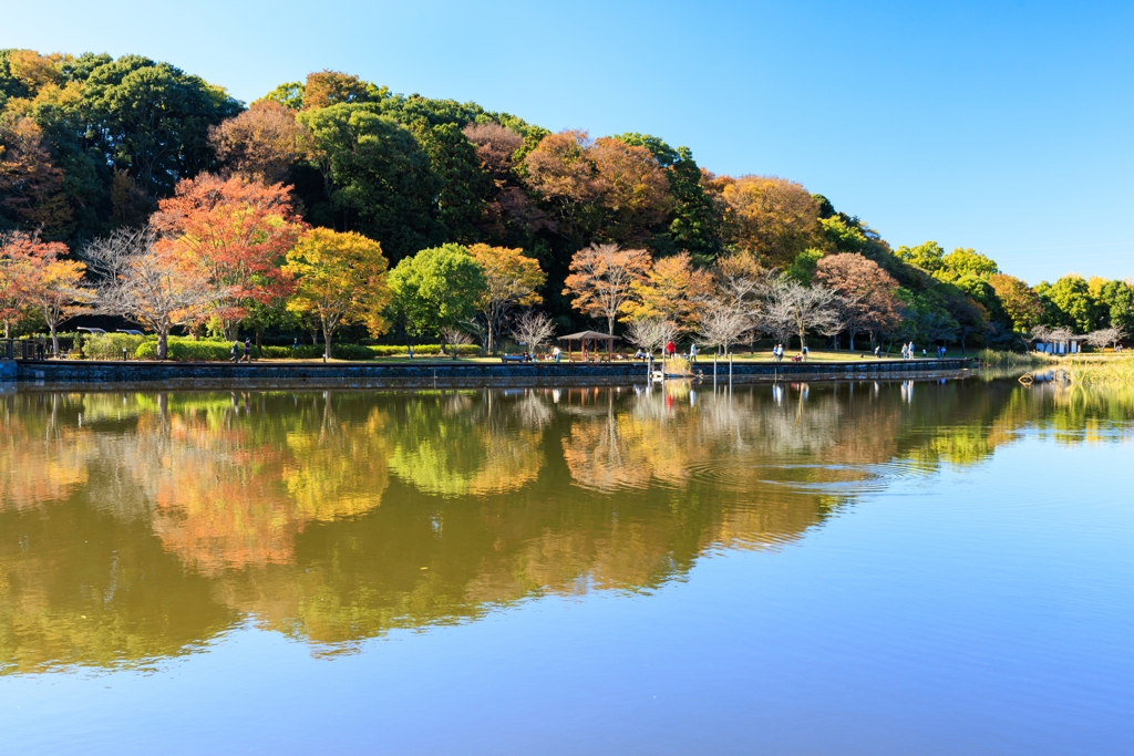 秋探しお写んぽ その４