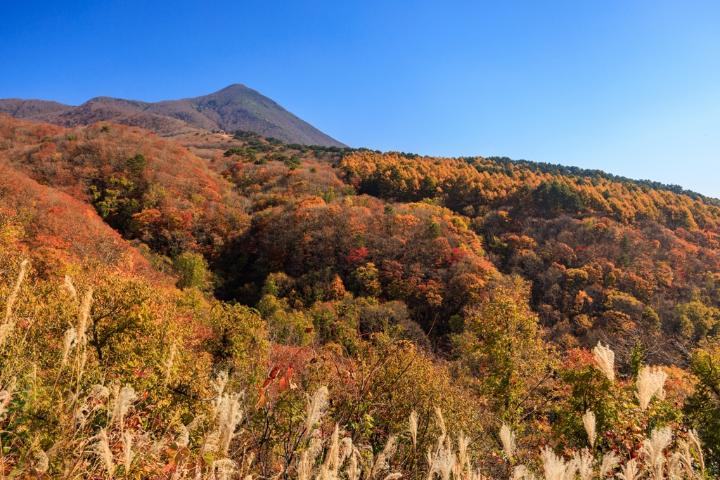 磐梯山ゴールドライン