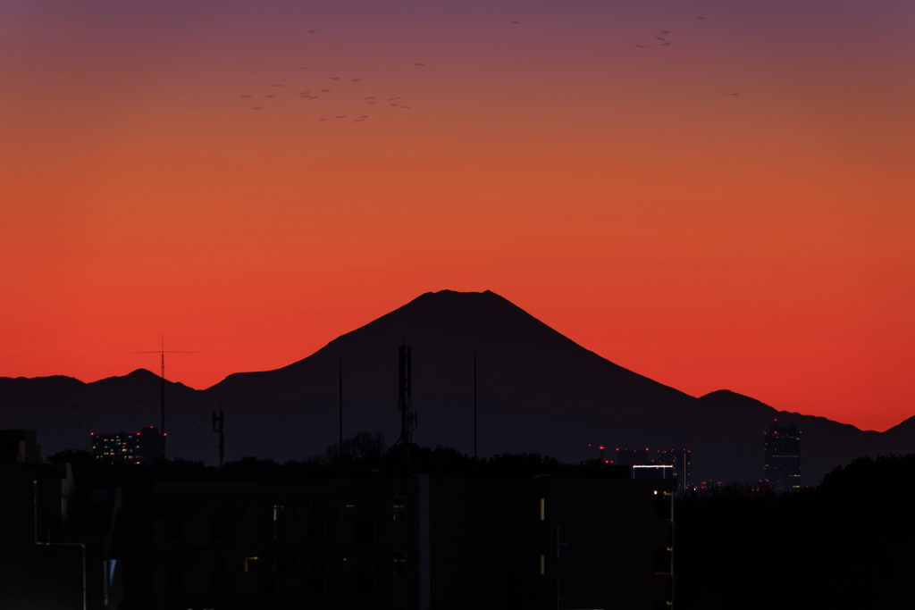 屋上より シルエット富士