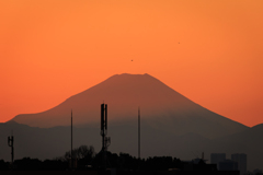 屋上より 富士より高く？＾＾