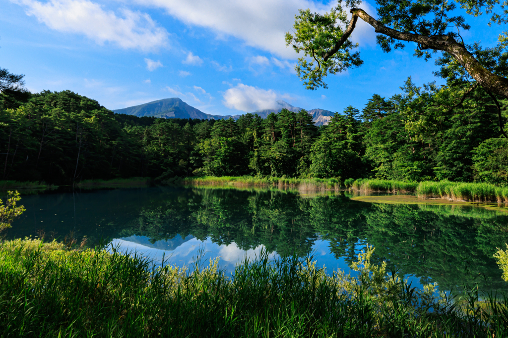 五色沼・るり沼