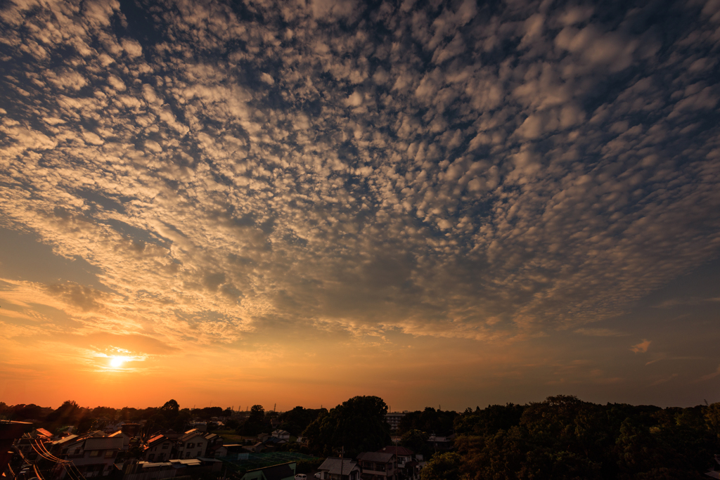 屋上夕焼け うろこ雲