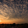 屋上夕焼け うろこ雲