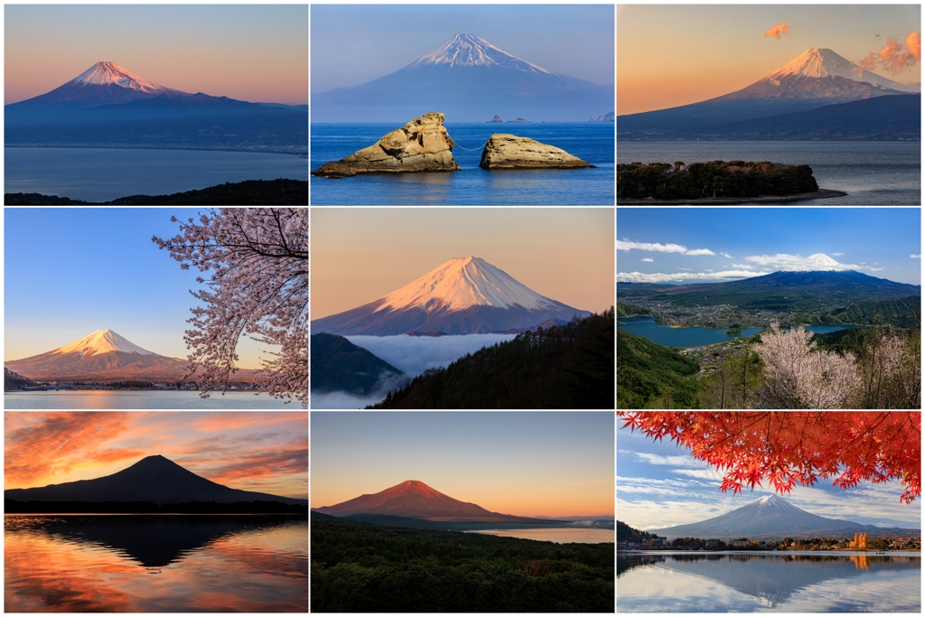 2025ダイジェスト 富士山編