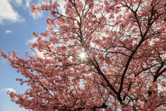 ウニウニチャレンジ＾＾