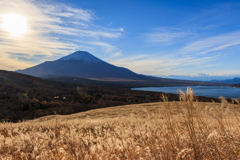 富士と逆光ススキと山中湖