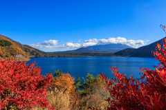 恥ずかしがり富士山