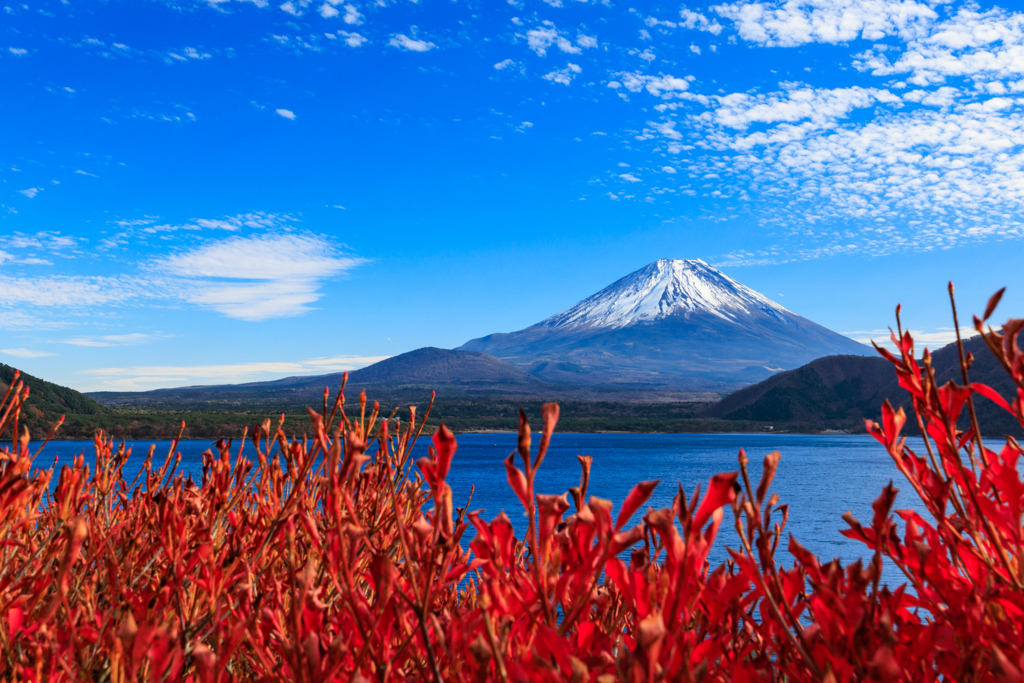 火あぶり富士山＾＾