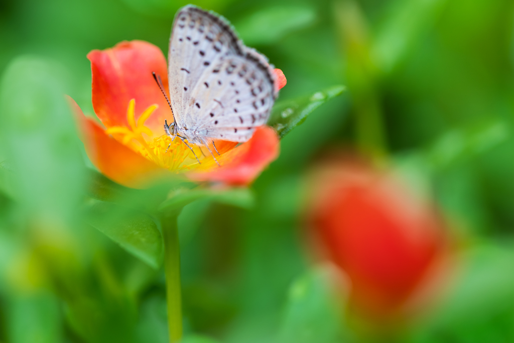 雨の止み間に～　その１