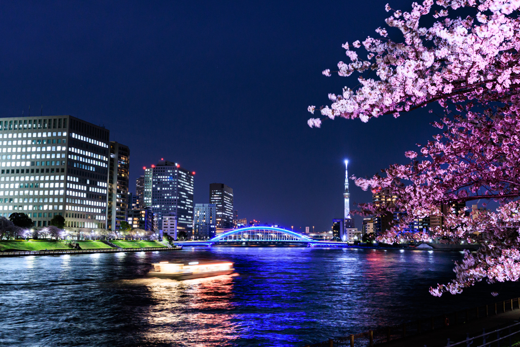 桜と永代橋とスカイツリー