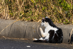 よっ(^^)/