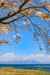 桜屋根の磐梯山と猪苗代湖 その１