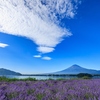 やっと雲が・・