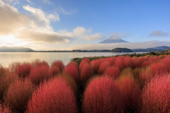 朝陽・コキア・富士山