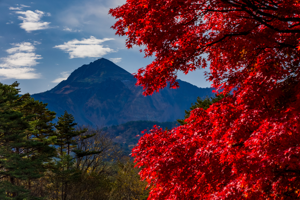 紅葉を撮りに行こうようｗ　その２