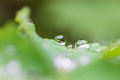 雨の止み間に・・