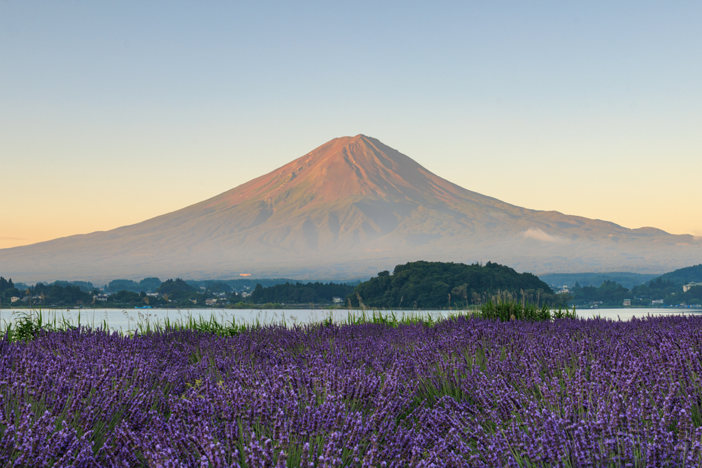 年末恒例！ボツ写真供養 その２