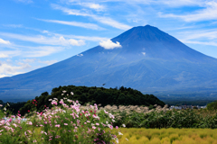 秋の詰め合わせと富士山