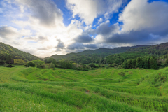 大山千枚田