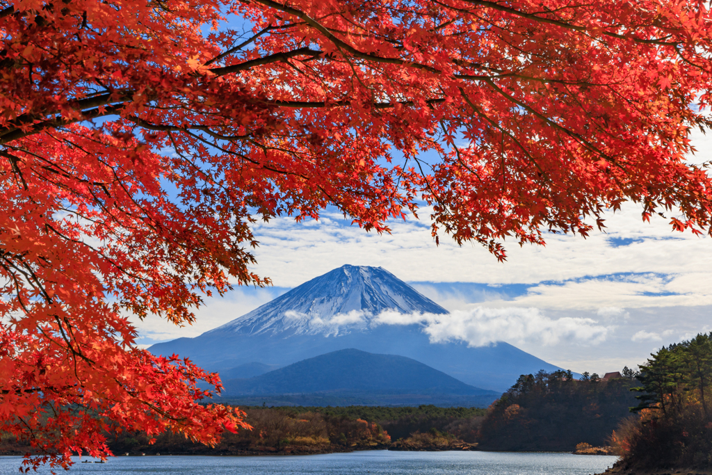 他手合浜の紅葉と富士