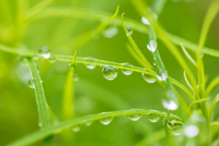 雨の止み間に～　その２