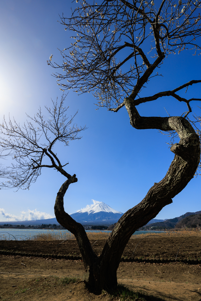 富士山用フレーム その1