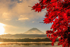 何とか見つけた紅葉と(^-^;