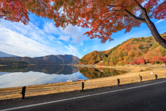 もみじトンネル