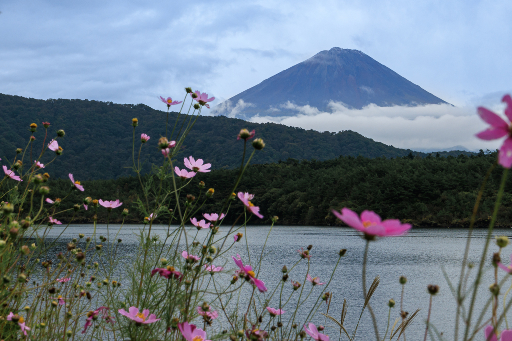 西湖にて　その１