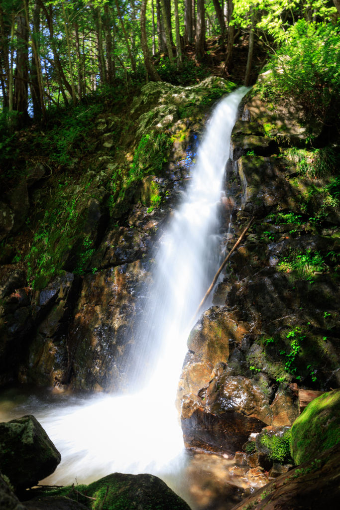 手持ち1秒チャレンジｗ