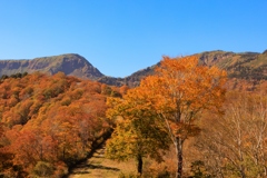 田代スキー場の紅葉 その２