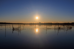 だいぶ上がった