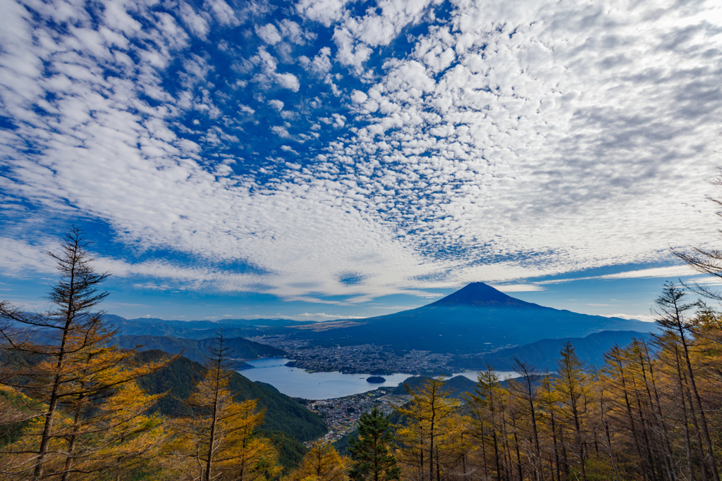 色づいた木々たちも眺める絶景　FUJIYAMAツインテラス