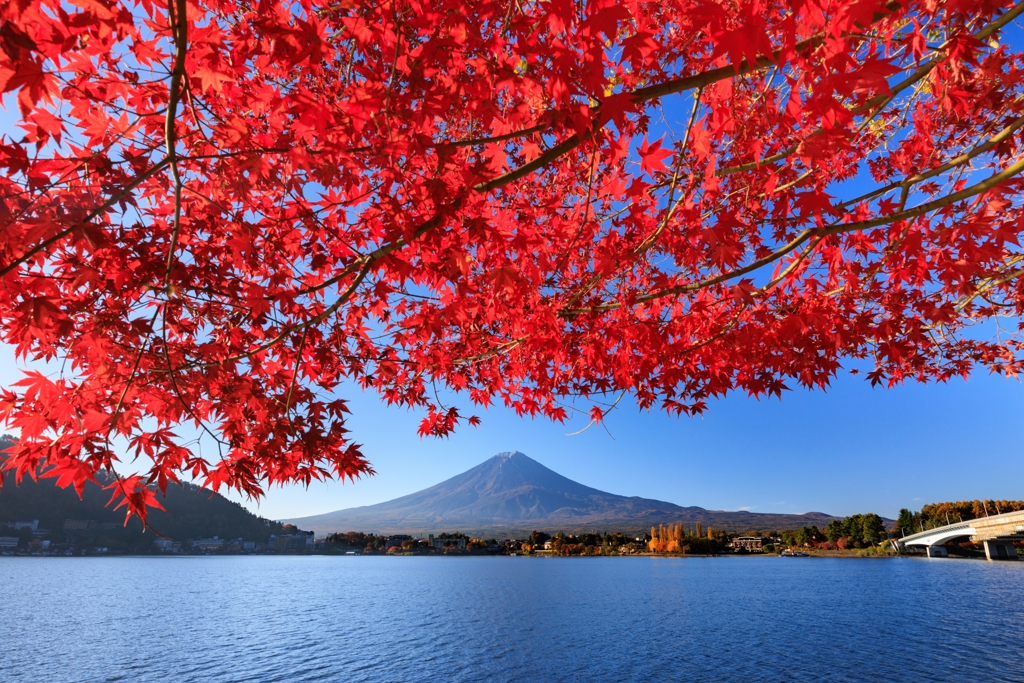 産屋ヶ崎にて 紅葉の屋根