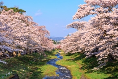 橋の上より
