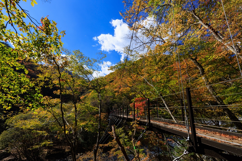 吊り橋