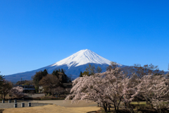 八木崎公園にて 丘の上より
