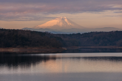 淡い紫雲の下・・