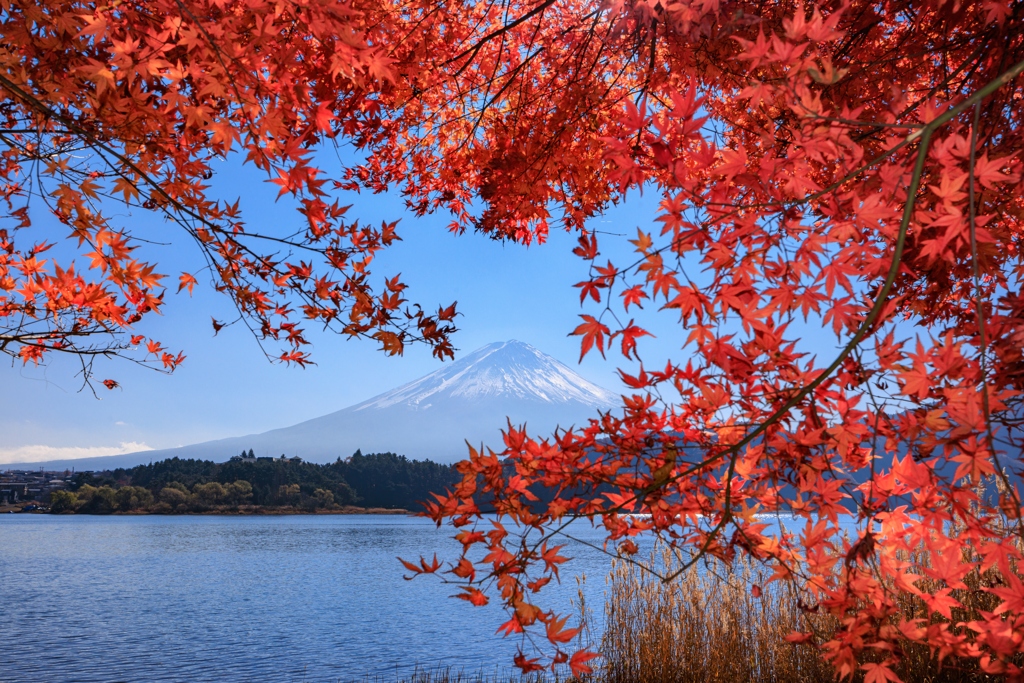 富士山包囲網