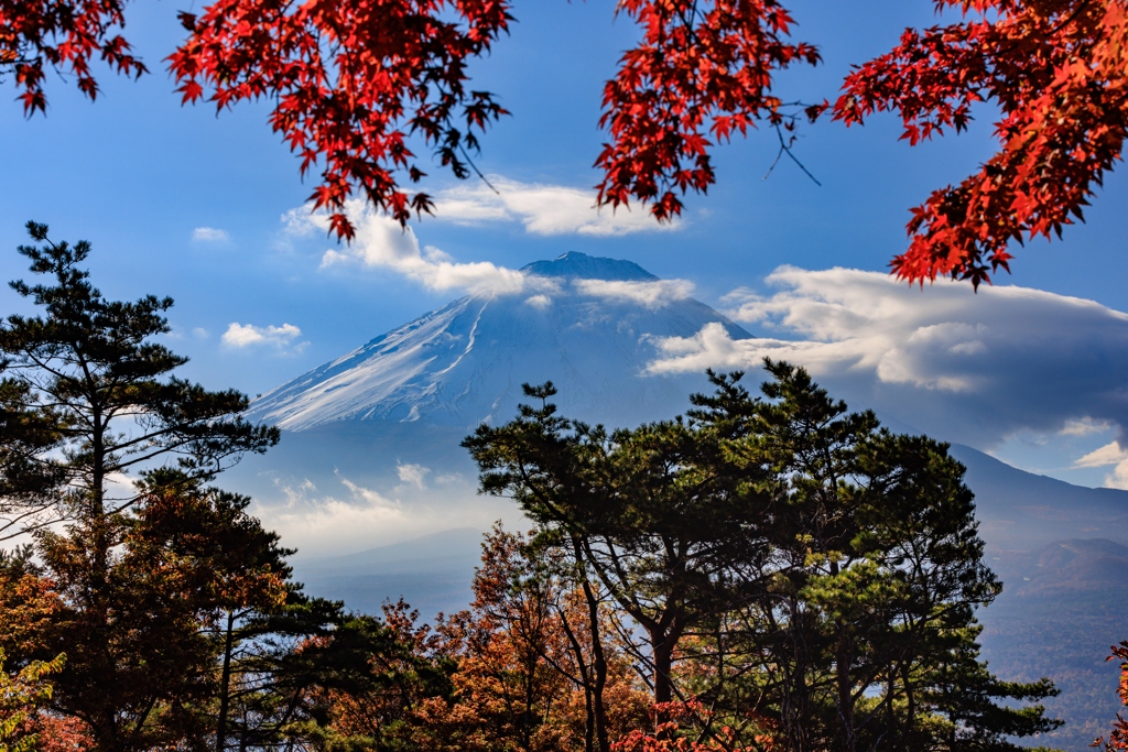 富士山見えたヽ(^o^)丿