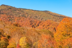 田代スキー場の紅葉 その１